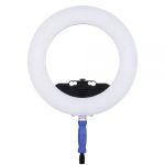 LEDGO Bi-Color LED Ring Light