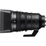 Sony 18-110mm