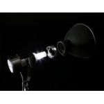 Joker Profoto Crossover