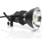 Profoto Acute Flash Head